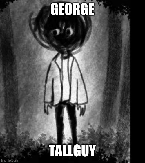 George tallguy | GEORGE; TALLGUY | image tagged in nonsense | made w/ Imgflip meme maker