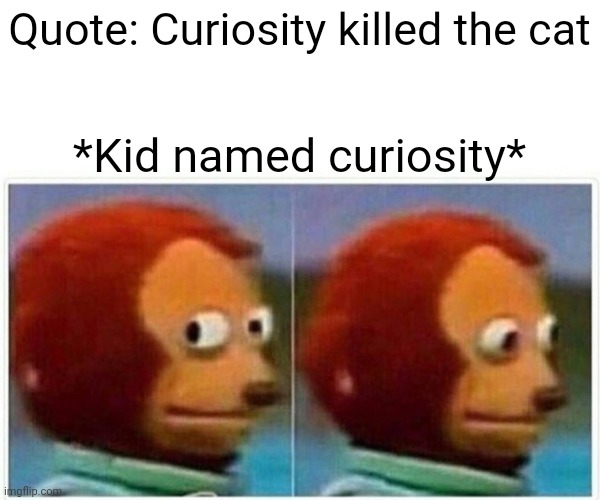 Monkey Puppet | Quote: Curiosity killed the cat; *Kid named curiosity* | image tagged in memes,monkey puppet | made w/ Imgflip meme maker