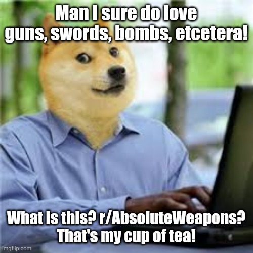 Doge visits r/AbsoluteWeapons | Man I sure do love guns, swords, bombs, etcetera! What is this? r/AbsoluteWeapons? That's my cup of tea! | image tagged in doge computer,reddit | made w/ Imgflip meme maker