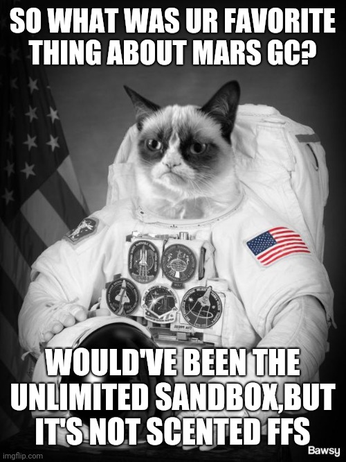 Grumpy Spacecat | SO WHAT WAS UR FAVORITE THING ABOUT MARS GC? WOULD'VE BEEN THE UNLIMITED SANDBOX,BUT IT'S NOT SCENTED FFS | image tagged in grumpy spacecat | made w/ Imgflip meme maker