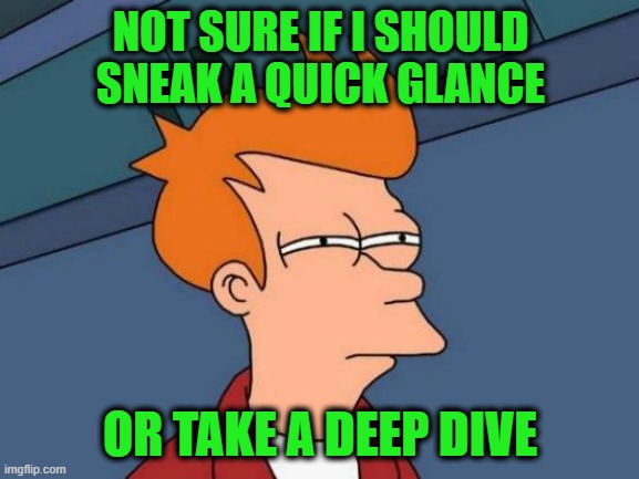 Futurama Fry | NOT SURE IF I SHOULD SNEAK A QUICK GLANCE; OR TAKE A DEEP DIVE | image tagged in memes,futurama fry | made w/ Imgflip meme maker