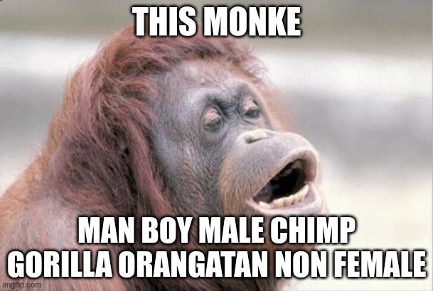 monke | THIS MONKE; MAN BOY MALE CHIMP GORILLA ORANGATAN NON FEMALE | image tagged in memes,monkey ooh | made w/ Imgflip meme maker