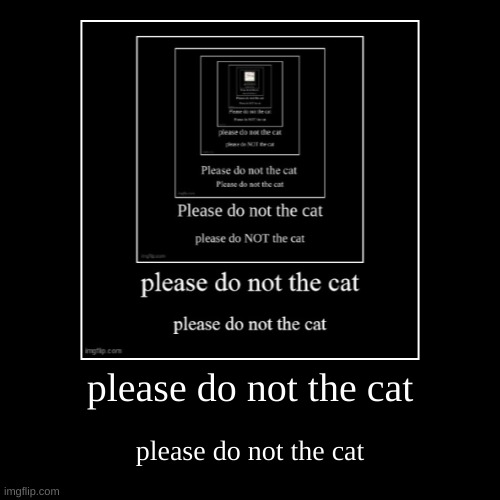 please do not the cat | image tagged in please do not the cat,please,do,not,the,cat | made w/ Imgflip demotivational maker