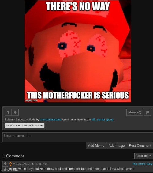 made w/ Imgflip meme maker