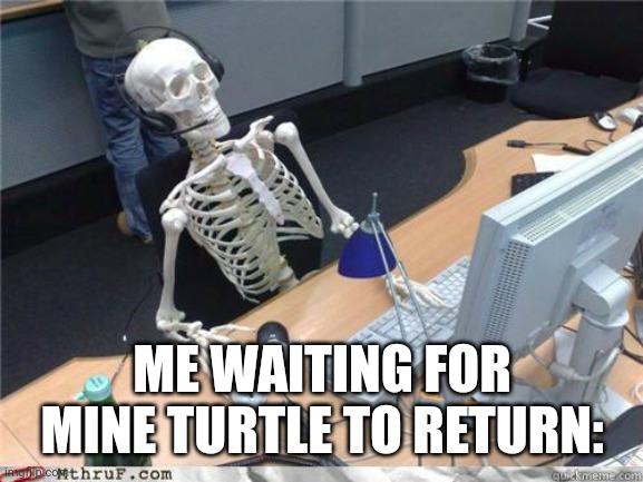 I need to ask him what he's doing when he's gone | ME WAITING FOR MINE TURTLE TO RETURN: | image tagged in skeleton waiting | made w/ Imgflip meme maker