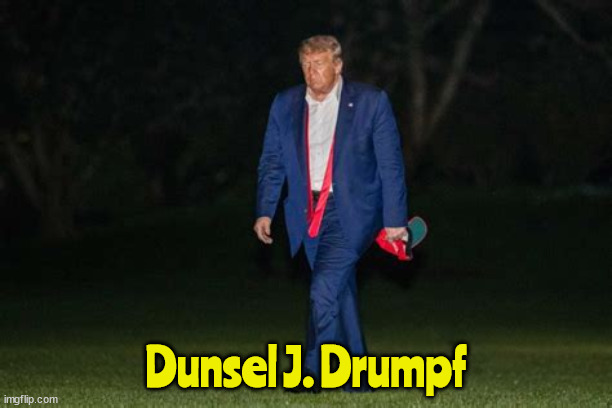 Donald J. Trump | Dunsel J. Drumpf | image tagged in donald trump | made w/ Imgflip meme maker