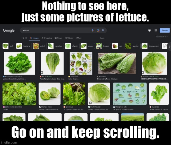 Lettuce | Nothing to see here, just some pictures of lettuce. Go on and keep scrolling. | image tagged in lettuce,memes,funny,vegetables,keep scrolling,nothing to see here | made w/ Imgflip meme maker