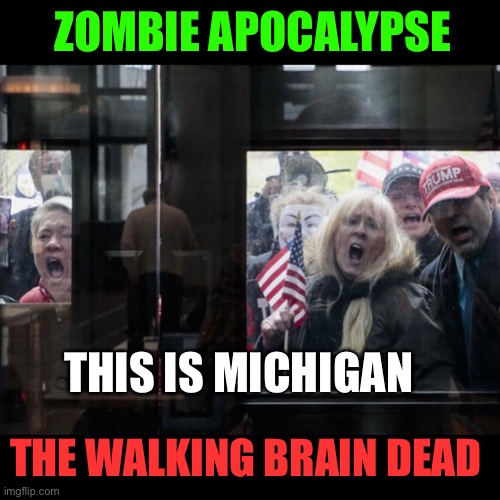 Trump Michigan Protesters | THIS IS MICHIGAN THE WALKING BRAIN DEAD ZOMBIE APOCALYPSE | image tagged in trump michigan protesters | made w/ Imgflip meme maker
