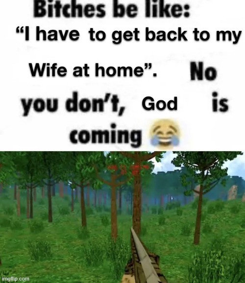 you've stapled enough to her, she is beautiful now. | made w/ Imgflip meme maker