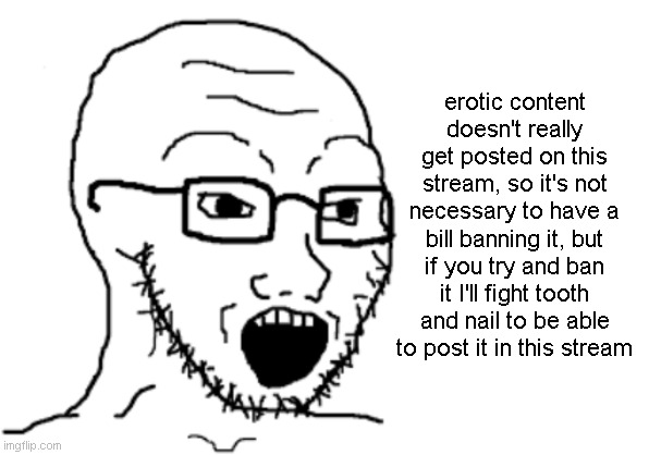 average erotic content fan | erotic content doesn't really get posted on this stream, so it's not necessary to have a bill banning it, but if you try and ban it I'll fight tooth and nail to be able to post it in this stream | image tagged in blank white template | made w/ Imgflip meme maker