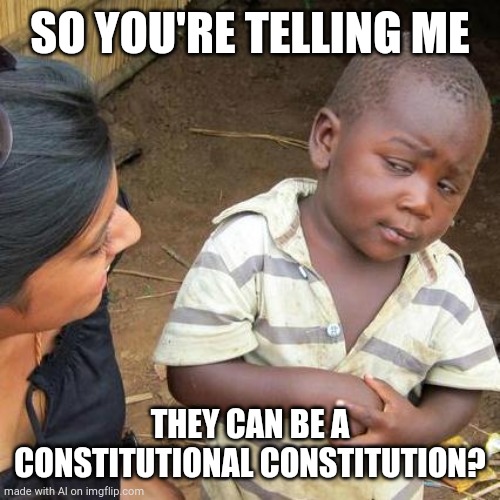 Third World Skeptical Kid Meme | SO YOU'RE TELLING ME; THEY CAN BE A CONSTITUTIONAL CONSTITUTION? | image tagged in memes,third world skeptical kid | made w/ Imgflip meme maker
