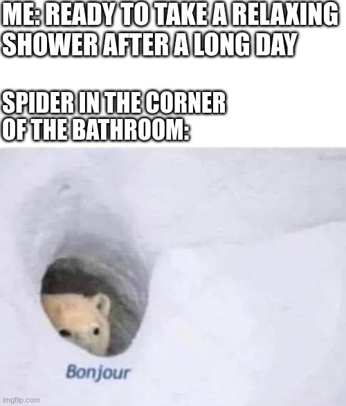 Relatable? | ME: READY TO TAKE A RELAXING
SHOWER AFTER A LONG DAY; SPIDER IN THE CORNER
OF THE BATHROOM: | image tagged in bonjour,spider,relatable,shower | made w/ Imgflip meme maker