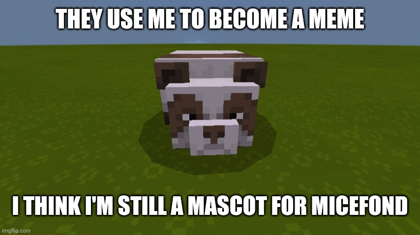 Use this | THEY USE ME TO BECOME A MEME; I THINK I'M STILL A MASCOT FOR MICEFOND | image tagged in brownie the panda,memes | made w/ Imgflip meme maker