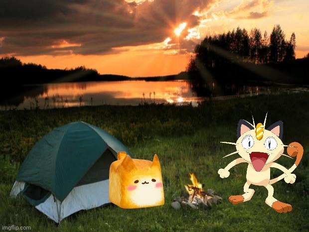 Meowth and Catbread go camping! | image tagged in camping it's in tents | made w/ Imgflip meme maker