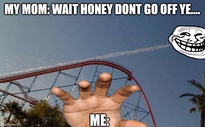 Me at the water park | MY MOM: WAIT HONEY DONT GO OFF YE.... ME: | image tagged in roller coaster chem trail | made w/ Imgflip meme maker