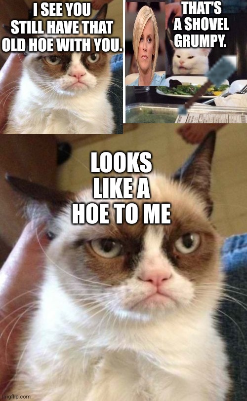 THAT'S A SHOVEL GRUMPY. I SEE YOU STILL HAVE THAT OLD HOE WITH YOU. LOOKS LIKE A HOE TO ME | image tagged in smudge the cat,memes,grumpy cat reverse | made w/ Imgflip meme maker