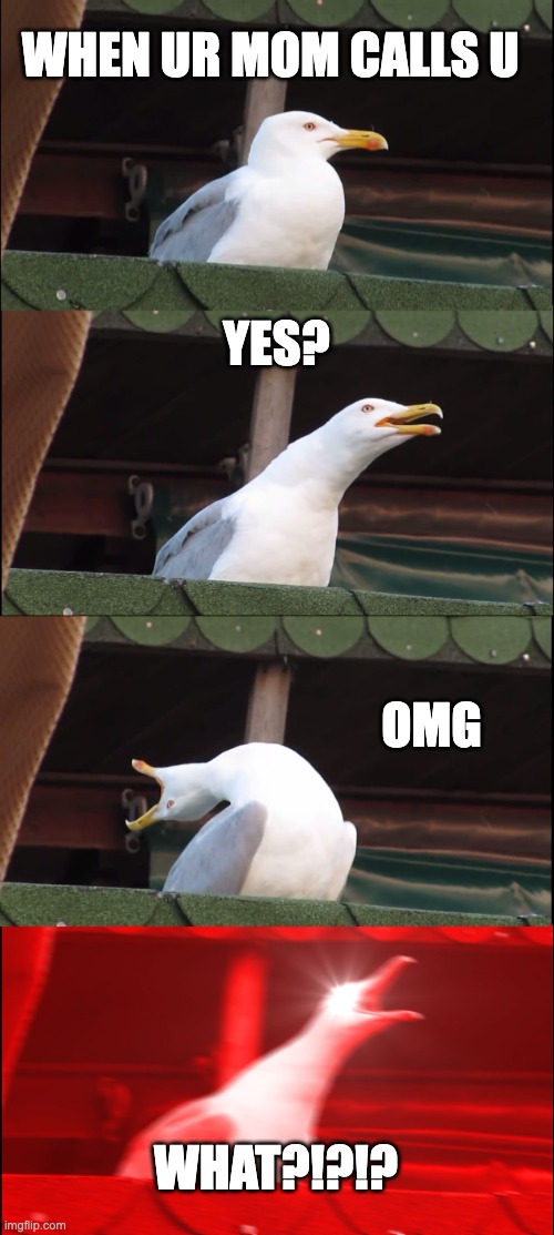 i mean? JUST WHYYYYYY | WHEN UR MOM CALLS U; YES? OMG; WHAT?!?!? | image tagged in memes,inhaling seagull | made w/ Imgflip meme maker