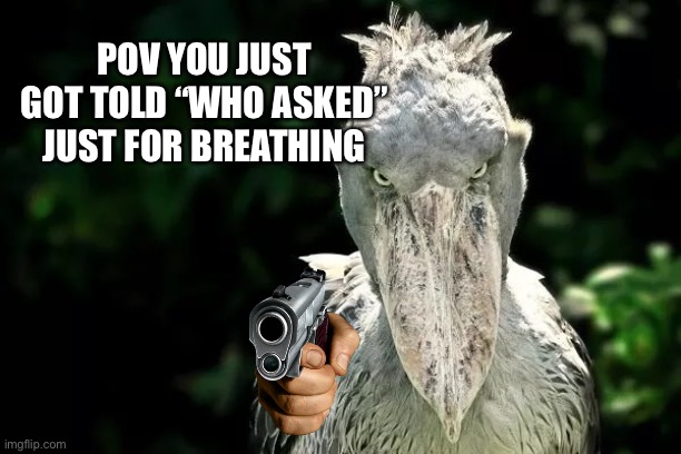 Bro | POV YOU JUST GOT TOLD “WHO ASKED” JUST FOR BREATHING | image tagged in devious shoebill,gun | made w/ Imgflip meme maker