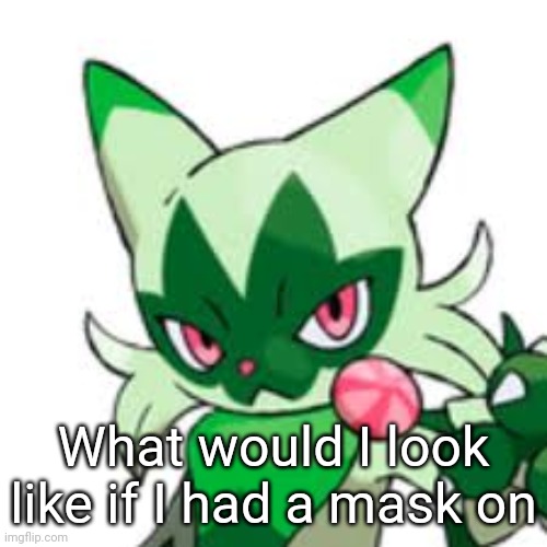 Floragato | What would I look like if I had a mask on | image tagged in floragato | made w/ Imgflip meme maker