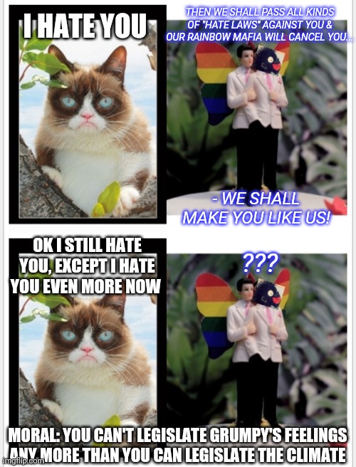 Chasing Shadows | THEN WE SHALL PASS ALL KINDS OF "HATE LAWS" AGAINST YOU & OUR RAINBOW MAFIA WILL CANCEL YOU... I HATE YOU; - WE SHALL MAKE YOU LIKE US! OK I STILL HATE YOU, EXCEPT I HATE YOU EVEN MORE NOW; ??? MORAL: YOU CAN'T LEGISLATE GRUMPY'S FEELINGS ANY MORE THAN YOU CAN LEGISLATE THE CLIMATE | image tagged in liberal logic,butthurt liberals,vote,republican party,maga | made w/ Imgflip meme maker