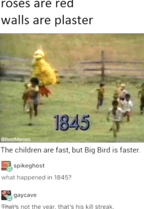 Big bird is speed | image tagged in big bird | made w/ Imgflip meme maker