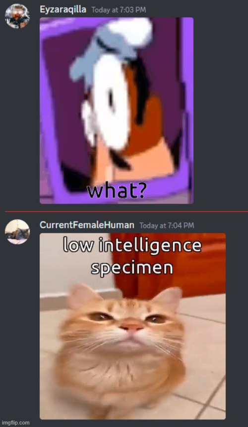 most normal conversation with femalehomosapien: | made w/ Imgflip meme maker