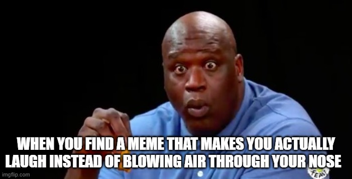 happened to me a while ago so i made it a meme | WHEN YOU FIND A MEME THAT MAKES YOU ACTUALLY LAUGH INSTEAD OF BLOWING AIR THROUGH YOUR NOSE | image tagged in surprised shaq | made w/ Imgflip meme maker