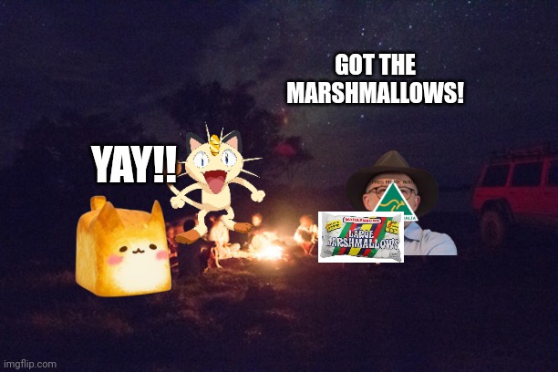 Campfire and Friends | GOT THE MARSHMALLOWS! YAY!! | image tagged in campfire and friends | made w/ Imgflip meme maker