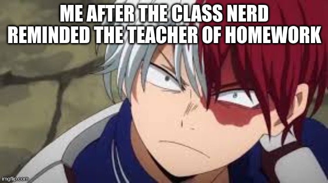 lol | ME AFTER THE CLASS NERD REMINDED THE TEACHER OF HOMEWORK | image tagged in angry todoroki | made w/ Imgflip meme maker