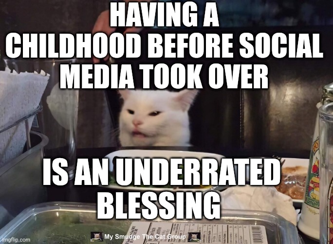 HAVING A CHILDHOOD BEFORE SOCIAL MEDIA TOOK OVER; IS AN UNDERRATED BLESSING | image tagged in smudge the cat | made w/ Imgflip meme maker