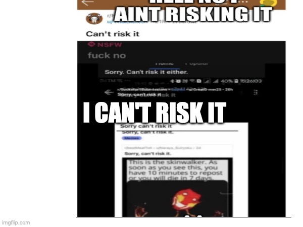 I can't risk it | I CAN'T RISK IT | image tagged in funny | made w/ Imgflip meme maker