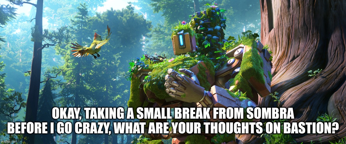 OKAY, TAKING A SMALL BREAK FROM SOMBRA BEFORE I GO CRAZY, WHAT ARE YOUR THOUGHTS ON BASTION? | made w/ Imgflip meme maker