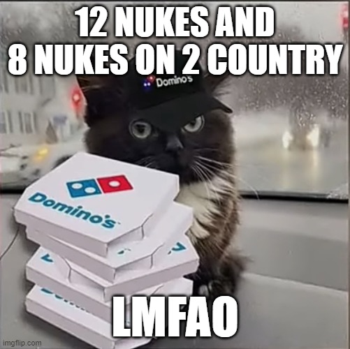 Dominos Cat | 12 NUKES AND 8 NUKES ON 2 COUNTRY; LMFAO | image tagged in dominos cat | made w/ Imgflip meme maker