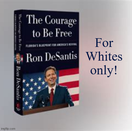 DeSantis new book! | For Whites only! | image tagged in ron desantis,meatball ron,ron desanctimonious,rasict,fascist,maga | made w/ Imgflip meme maker