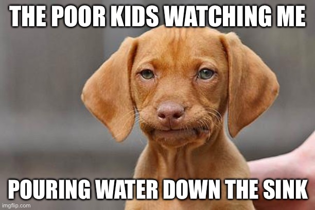 Dissapointed puppy | THE POOR KIDS WATCHING ME; POURING WATER DOWN THE SINK | image tagged in dissapointed puppy | made w/ Imgflip meme maker