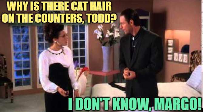 Cat Hair Humor | WHY IS THERE CAT HAIR ON THE COUNTERS, TODD? I DON'T KNOW, MARGO! | image tagged in i don't know margo,movie quotes,cats,humor,pets,funny memes | made w/ Imgflip meme maker