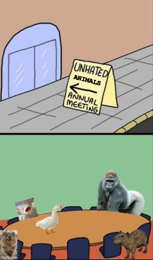 Disagree if you want. | ANIMALS | image tagged in annual meeting of unhated,capybara,gorilla,axolotl,quokka,ducks | made w/ Imgflip meme maker