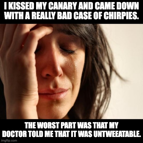 Health | I KISSED MY CANARY AND CAME DOWN WITH A REALLY BAD CASE OF CHIRPIES. THE WORST PART WAS THAT MY DOCTOR TOLD ME THAT IT WAS UNTWEEATABLE. | image tagged in memes,first world problems | made w/ Imgflip meme maker