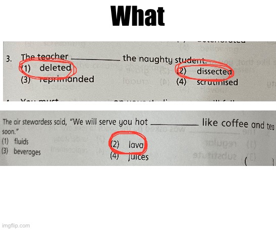 Revision gone wrong | What | image tagged in memes,homework | made w/ Imgflip meme maker