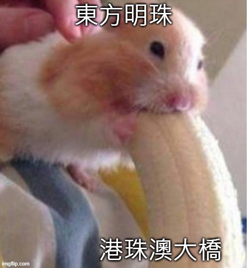 Hamster Banana Meme | 東方明珠; 港珠澳大橋 | image tagged in hamster banana meme | made w/ Imgflip meme maker