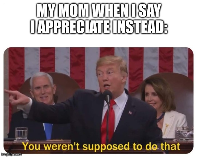 MY MOM WHEN I SAY I APPRECIATE INSTEAD: | image tagged in you weren't supposed to do that | made w/ Imgflip meme maker