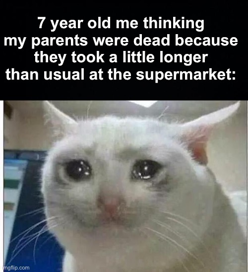 Please tell me someone else did this as a kid | 7 year old me thinking my parents were dead because they took a little longer than usual at the supermarket: | image tagged in crying cat,memes,unfunny | made w/ Imgflip meme maker
