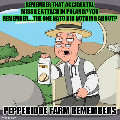 November 15, 2022 | REMEMBER THAT ACCIDENTAL MISSILE ATTACK IN POLAND? YOU REMEMBER....THE ONE NATO DID NOTHING ABOUT? PEPPERIDGE FARM REMEMBERS | image tagged in memes,pepperidge farm remembers,test,this is a test,y'all got any more of that | made w/ Imgflip meme maker