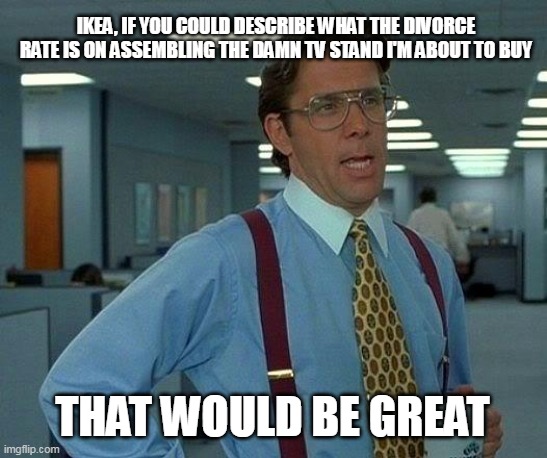 That Would Be Great | IKEA, IF YOU COULD DESCRIBE WHAT THE DIVORCE RATE IS ON ASSEMBLING THE DAMN TV STAND I'M ABOUT TO BUY; THAT WOULD BE GREAT | image tagged in memes,that would be great,meme,humor,funny | made w/ Imgflip meme maker