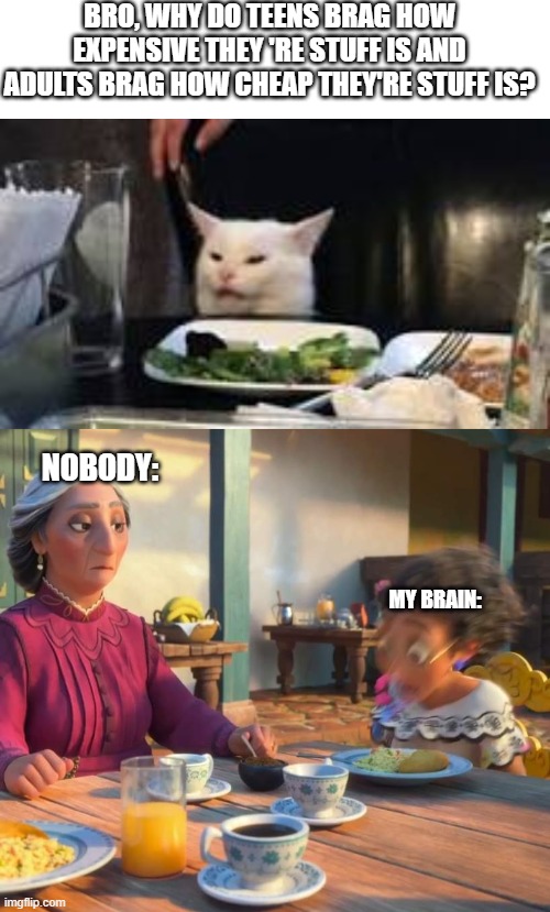 Shower Thoughtd Cat 4 | BRO, WHY DO TEENS BRAG HOW EXPENSIVE THEY 'RE STUFF IS AND ADULTS BRAG HOW CHEAP THEY'RE STUFF IS? NOBODY:; MY BRAIN: | image tagged in mirabel headbang,woman yelling at cat,shower thoughts,cat | made w/ Imgflip meme maker