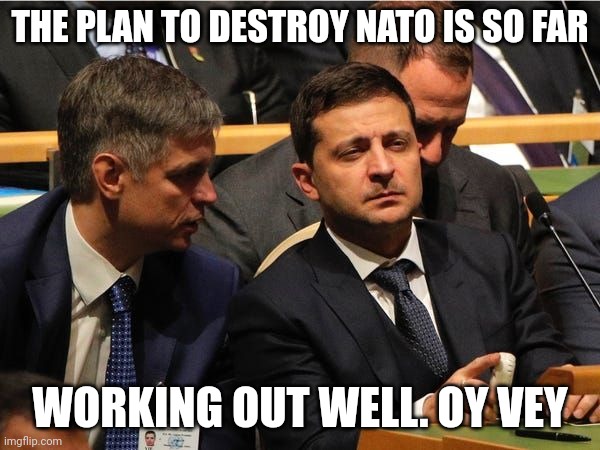 Zelensky | THE PLAN TO DESTROY NATO IS SO FAR; WORKING OUT WELL. OY VEY | image tagged in funny memes | made w/ Imgflip meme maker