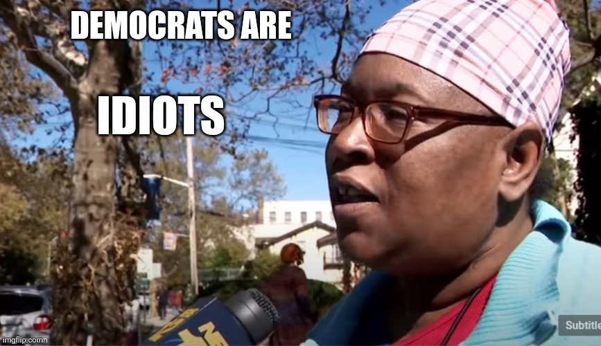 Idiots | DEMOCRATS ARE | image tagged in idiots | made w/ Imgflip meme maker