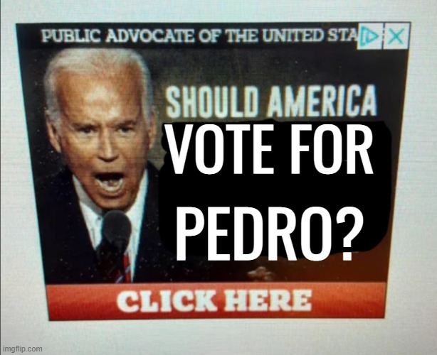 Should America… | VOTE FOR; PEDRO? | image tagged in should america,napoleon dynamite | made w/ Imgflip meme maker