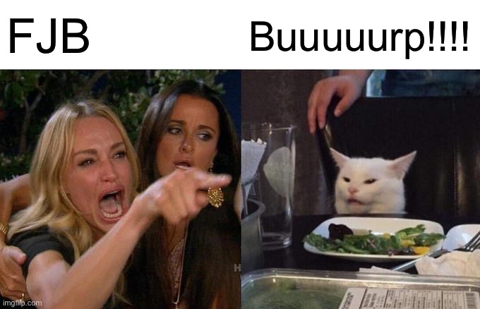 Woman Yelling At Cat | FJB; Buuuuurp!!!! | image tagged in memes,woman yelling at cat | made w/ Imgflip meme maker