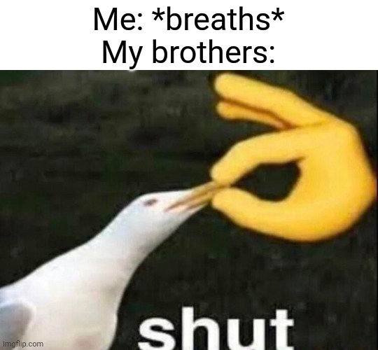 SHUT | Me: *breaths*
My brothers: | image tagged in shut,siblings | made w/ Imgflip meme maker